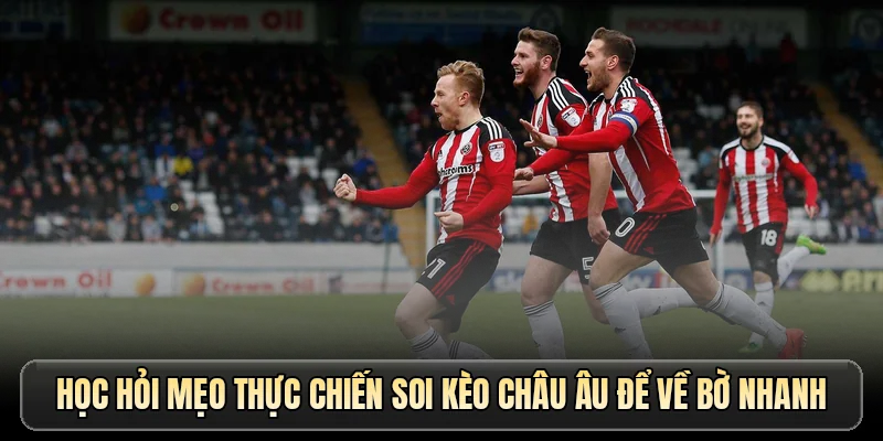 Học hỏi mẹo thực chiến soi kèo Châu Âu để về bờ nhanh